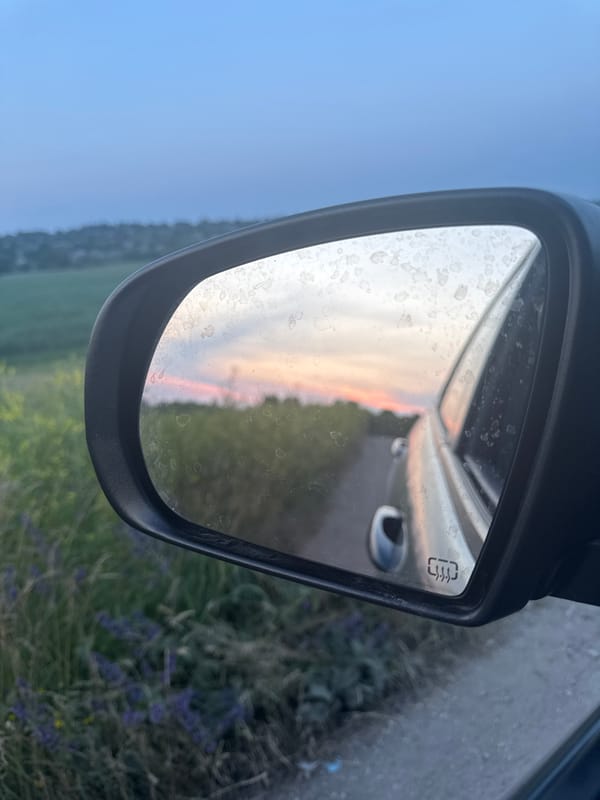 Twilight drive through open fields with horses and wildflowers