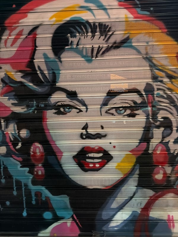 Colorful woman's face mural spotted on Tirana shutter