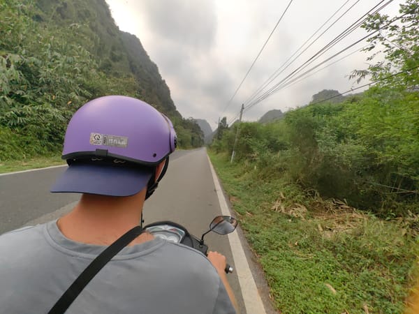 Motorcyclist travels tree-lined road in Hải Phòng, Vietnam