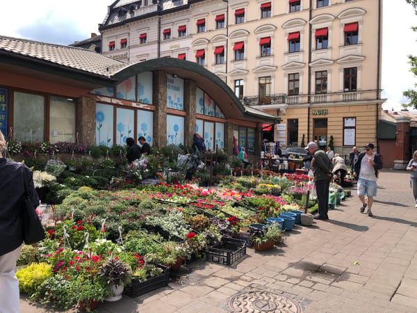 Morning street life across Lviv's historic old town