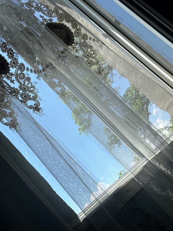 Morning documentation captures indoor domestic scenes and outdoor landscapes
