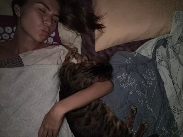 Napping with cats: a quiet afternoon in bed