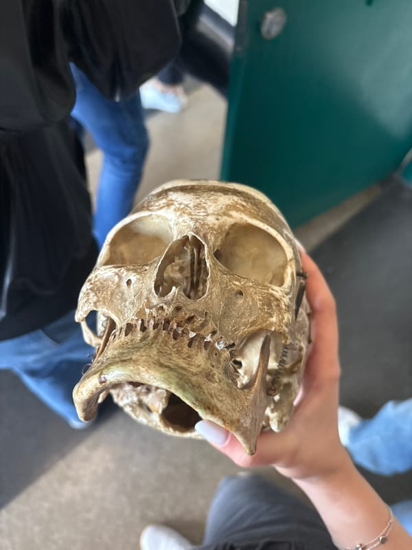 Science students study anatomy with microscopes in Bulgaria classroom