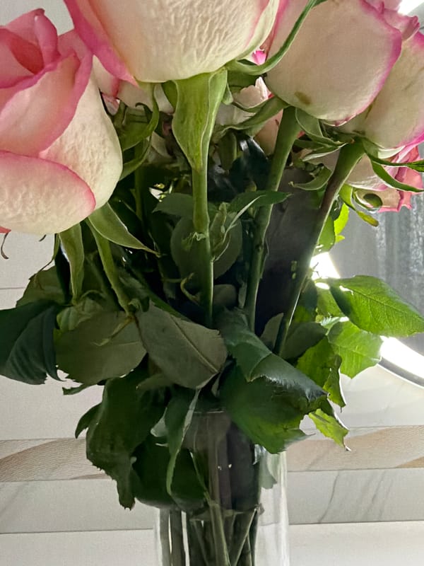 Woman documents flower gift with bathroom selfies in Votkinsk