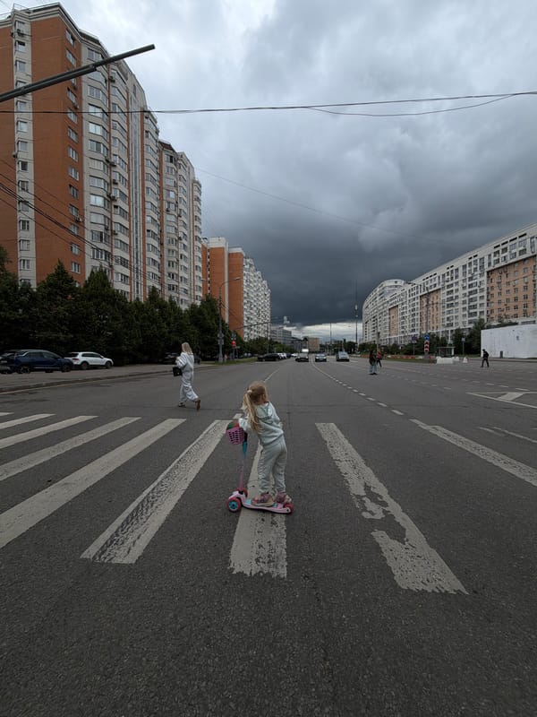 Quiet Moscow street moment: crosswalk and white flowers