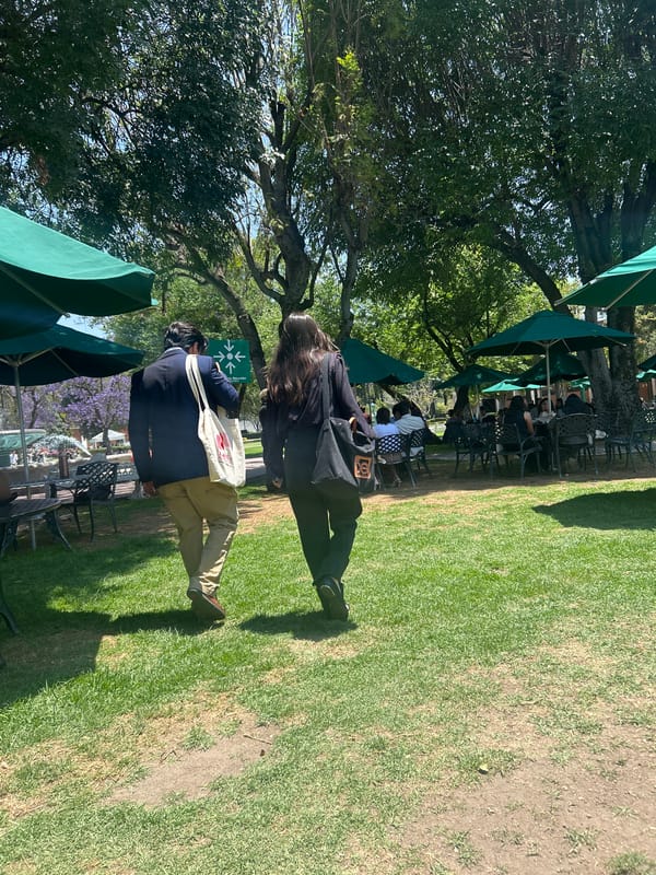 Outdoor umbrellas and seating observed in San Bernardino Tlaxcalancingo