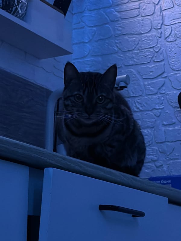 Woman documents damaged van incident in flooded Russian town