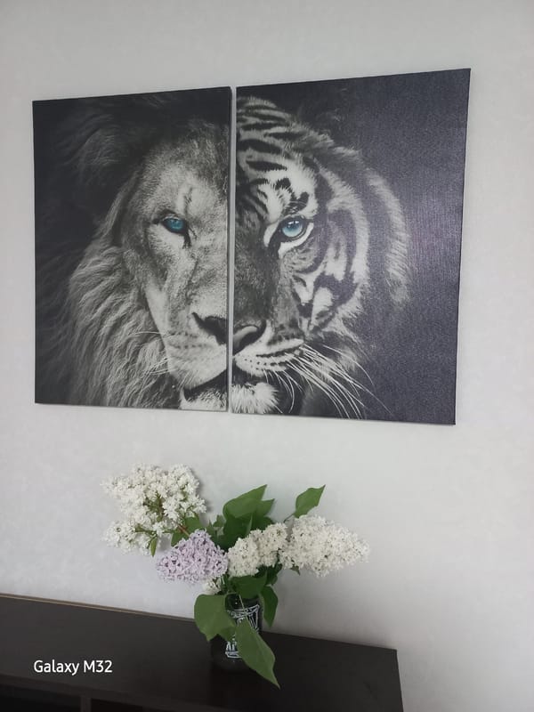 Indoor floral arrangement and tiger artwork documented in Volzhsky