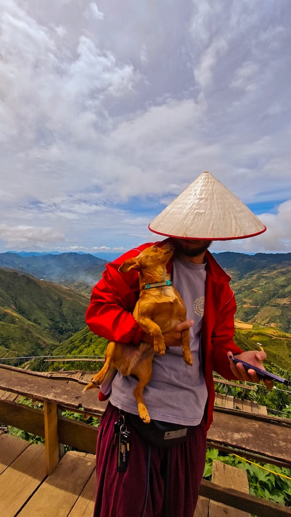Tourists pose with dogs at Ta Xua Vietnam scenic overlook