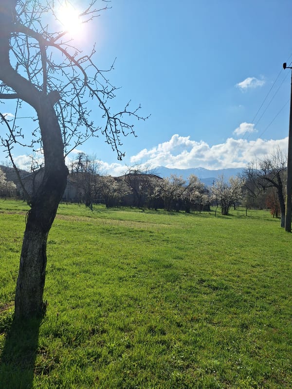 Spring blooms documented in Bulgarian mountain town Apriltsi