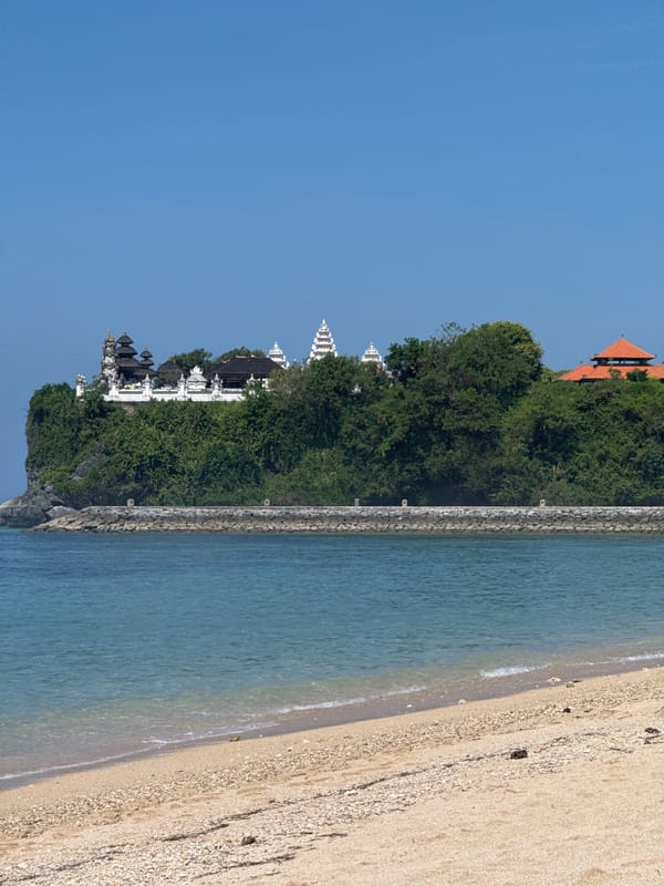 Woman reads book on tropical beach during quiet morning