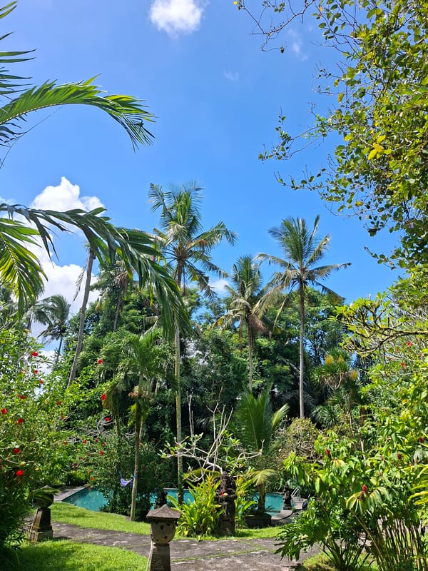 Tropical garden moments captured in Ubud, Indonesia