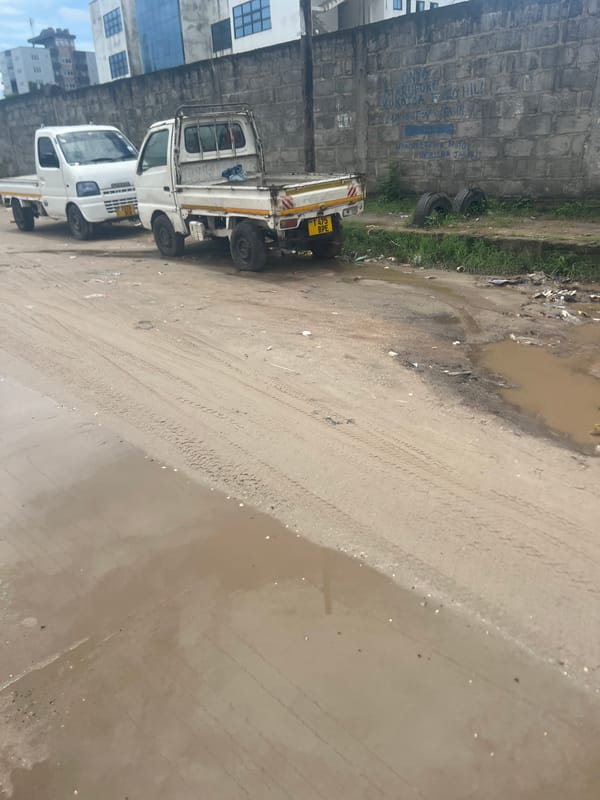 White truck parked on flooded dirt road in Dar es-Salaam