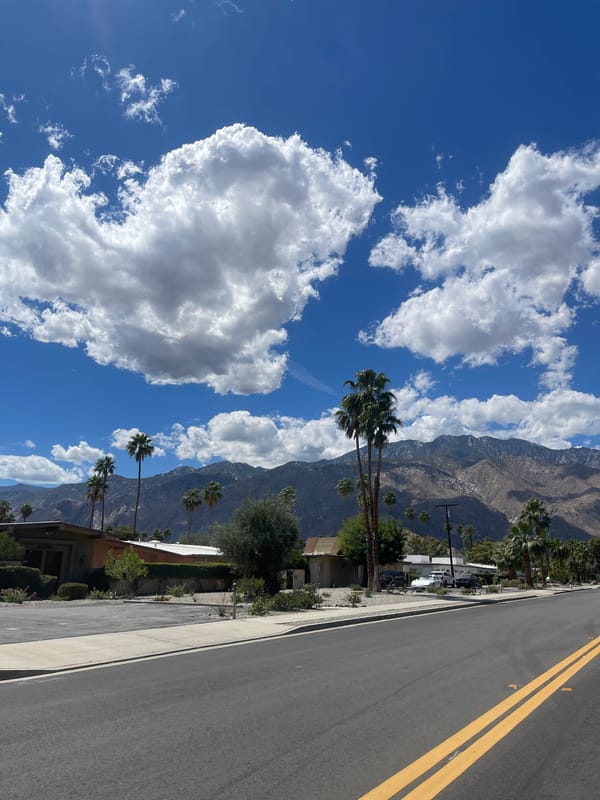 Palm Springs street scene documented Friday evening