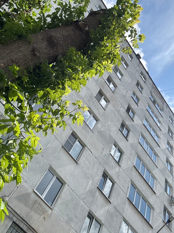 Quiet summer morning in an Izhevsk residential neighborhood