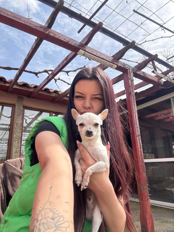 Woman photographed with white Chihuahua in Chubra, Bulgaria