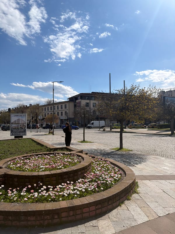 City scenes and tulip bouquet captured during afternoon hours