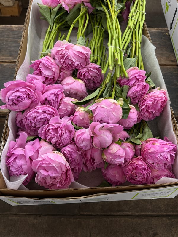 Downtown LA flower market operations documented during afternoon hours