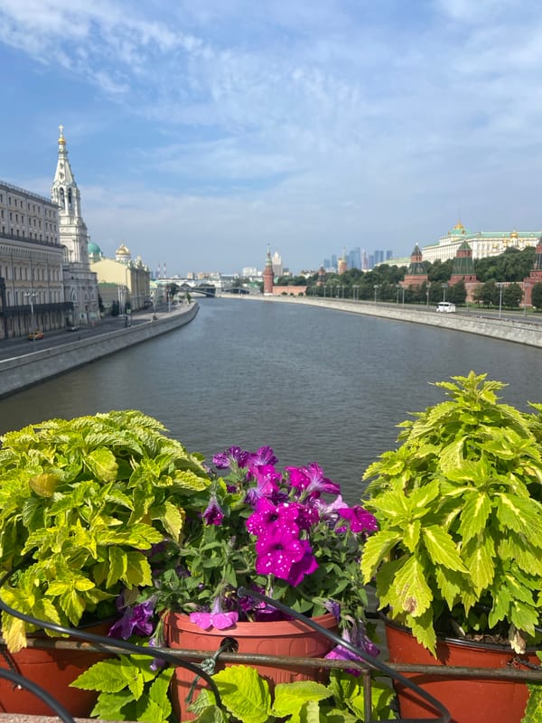 Moscow River and Kremlin views from a flower-lined riverfront