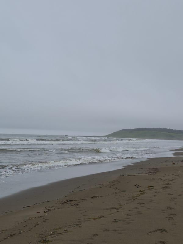 Driftwood-strewn beach in Uglegorsk under a grey June sky