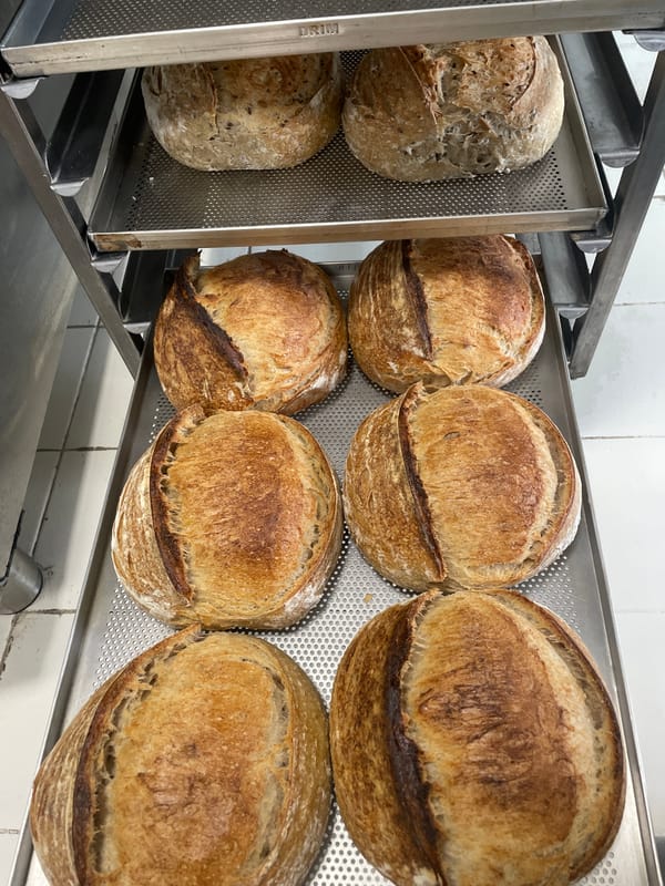 Fresh bread displayed on rack in Belgrade bakery