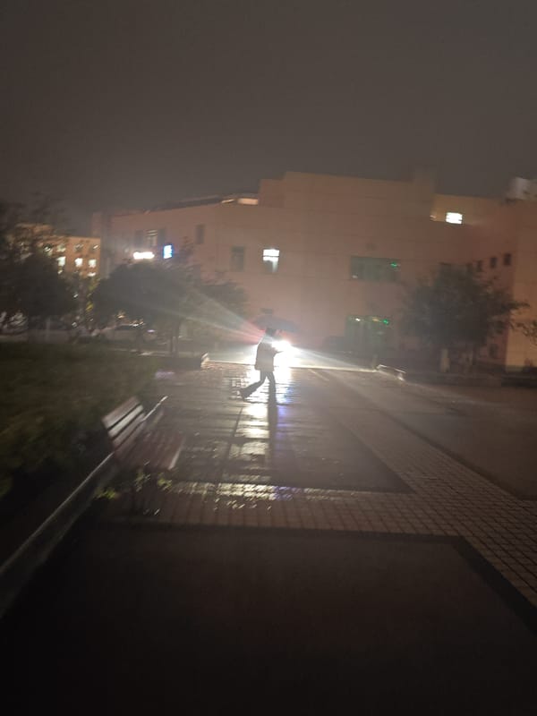 Night walker spotted on wet pathway in Jiangning District