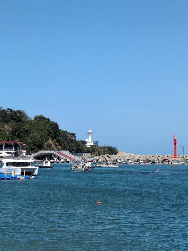Morning coastal scenes documented across Ulsan harbor and beaches