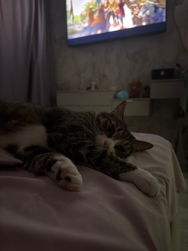 Lazy morning in at a Yuzhno-Sakhalinsk apartment