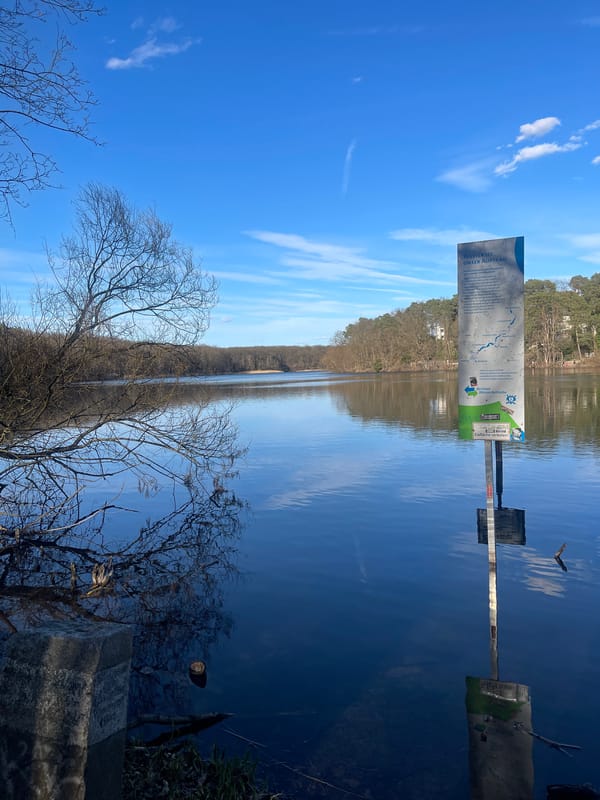 Berlin lake and parkland documented during early spring afternoon