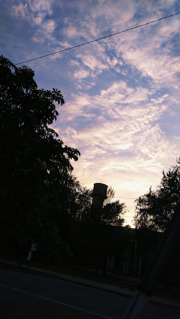 Dogs, dusk, and coleus plants in Horishni Plavni