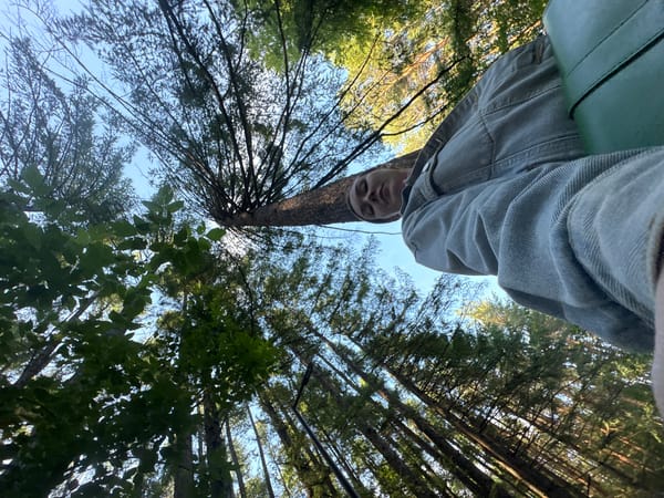 Afternoon in an Izhevsk park, forest selfies and a bench stop