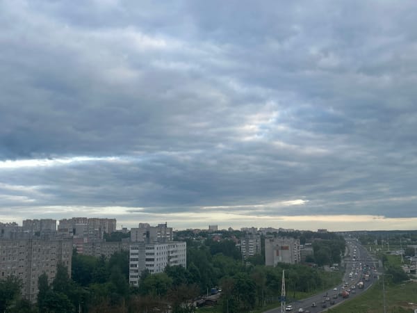 Overcast day, tabby cat spotted in urban setting