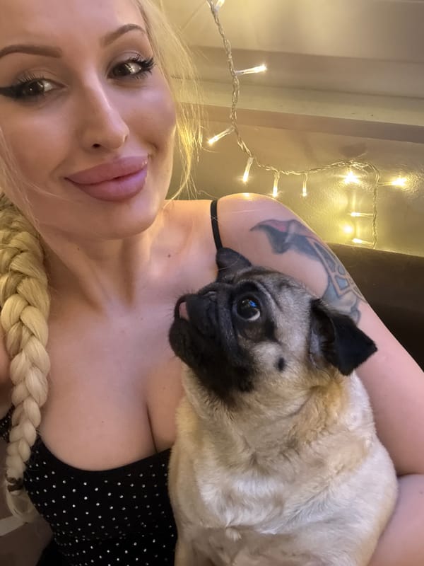 Woman photographs pug in pink outfits during indoor session