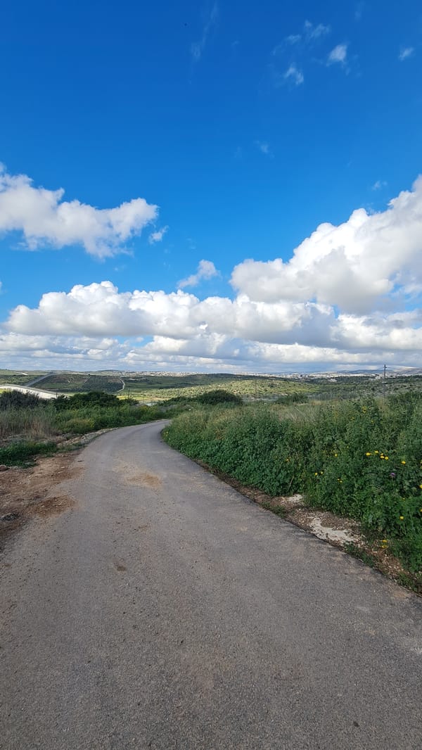 Rural documentation captured in Lachish Regional Council, Israel