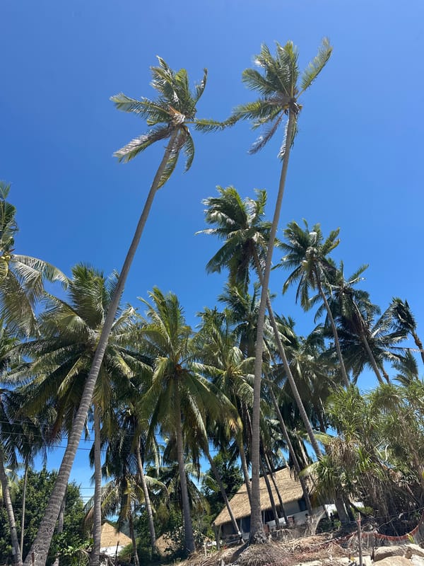 Relaxed beach setup on a sunny morning in Baan Tai
