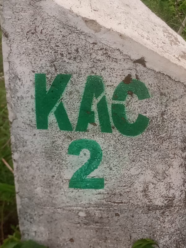 Rural scenes: markers, livestock, paths, and wet vegetation