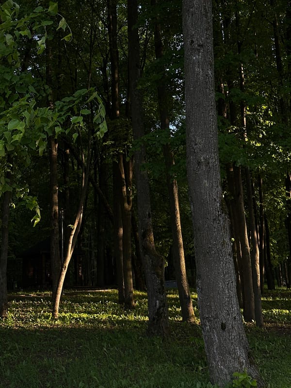 Afternoon stroll documented through Minsk waterfront park on May 24