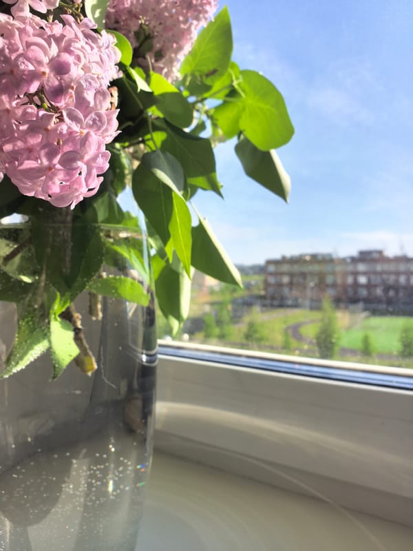 Morning ritual: calendar page turned, lilacs observed in Froly