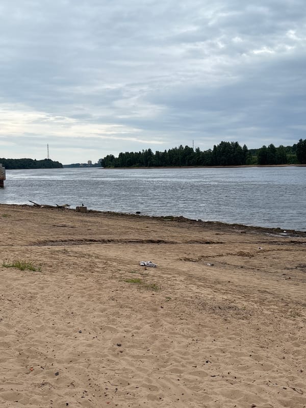Lazy afternoon on the Neva: boats, beach, and hooded crows