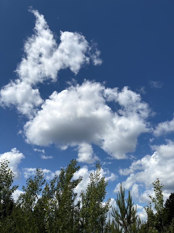 Clear sunny weather observed across Prikamskiy, Russia