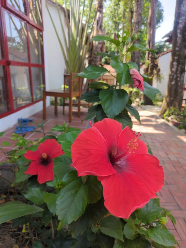 Early morning moments documented at Phú Quốc resort area