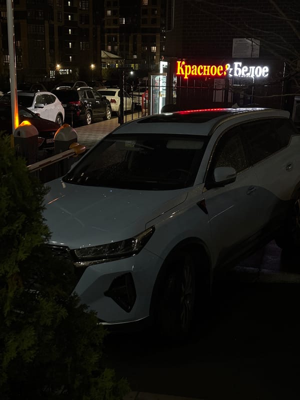 Woman photographed at multiple Rostov-on-Don locations during evening