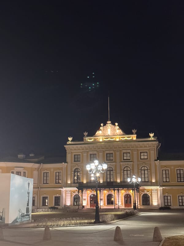 Night selfie at illuminated Imperial Palace in Tver