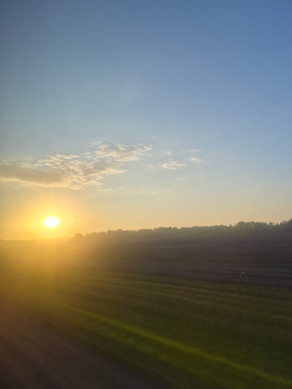 Sunset observed over field in Karmaskaly, Russia