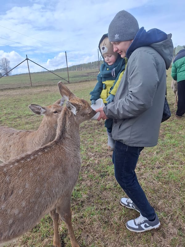 Family visits animal sanctuary in Ludorvai, Russia