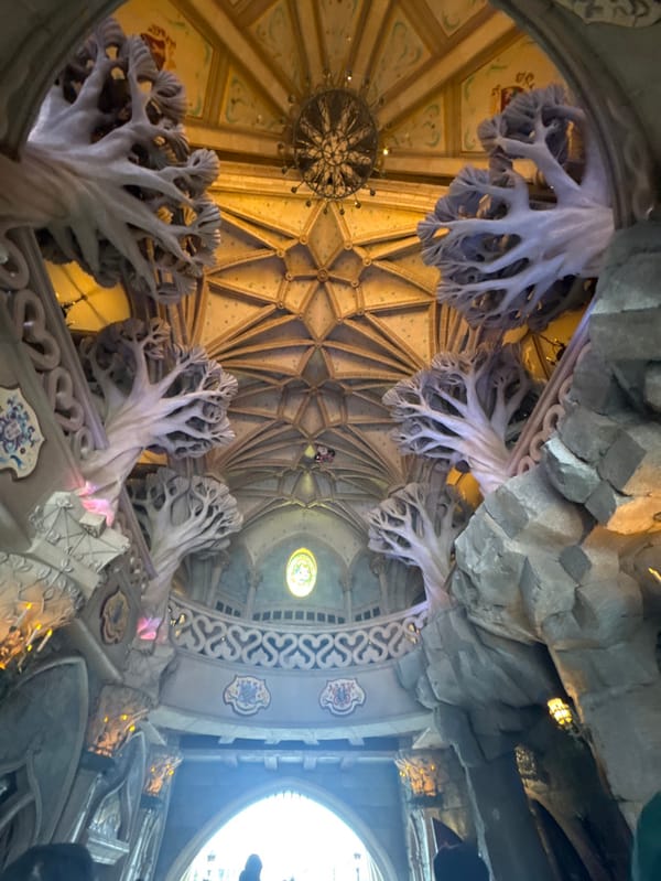 Visitors document afternoon at Disneyland Paris attractions and character meetings
