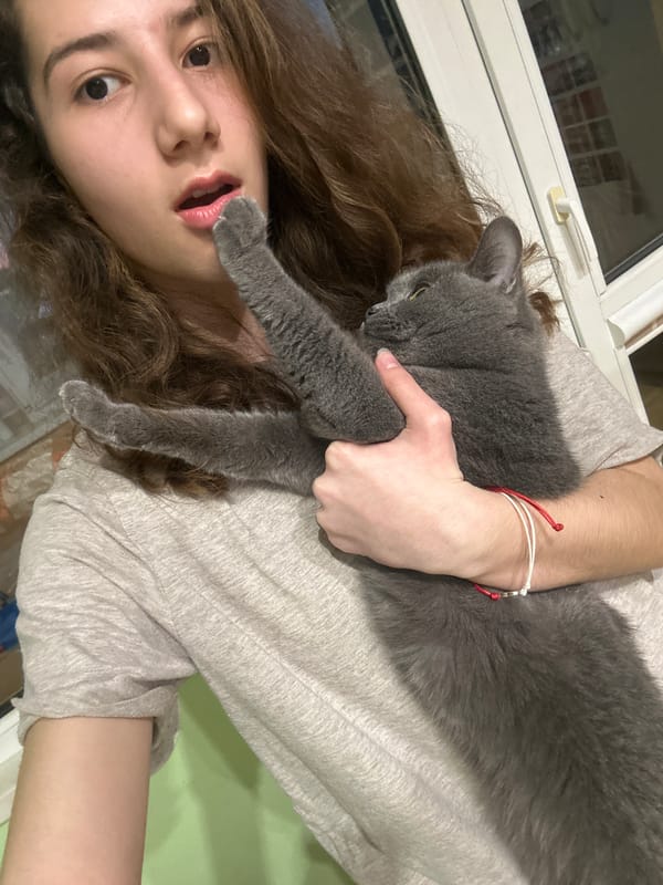 Easter afternoon with gray cat in Ruse, Bulgaria