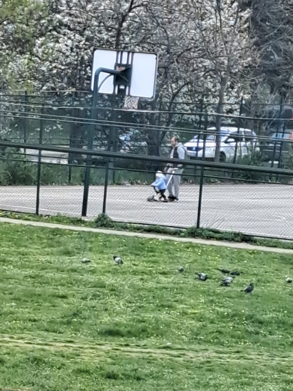 Morning scenes captured across Sofia showing everyday life