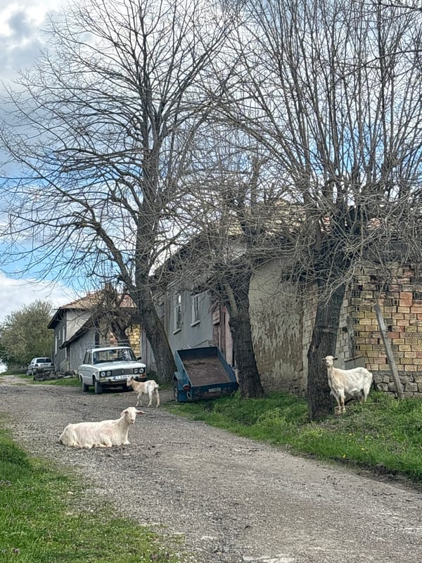 Farm machinery spotted in rural Bulgarian village of Presian