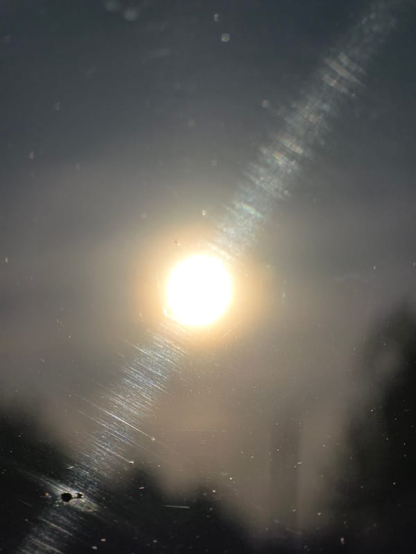 Early morning observations in Chaikovsky capture everyday moments